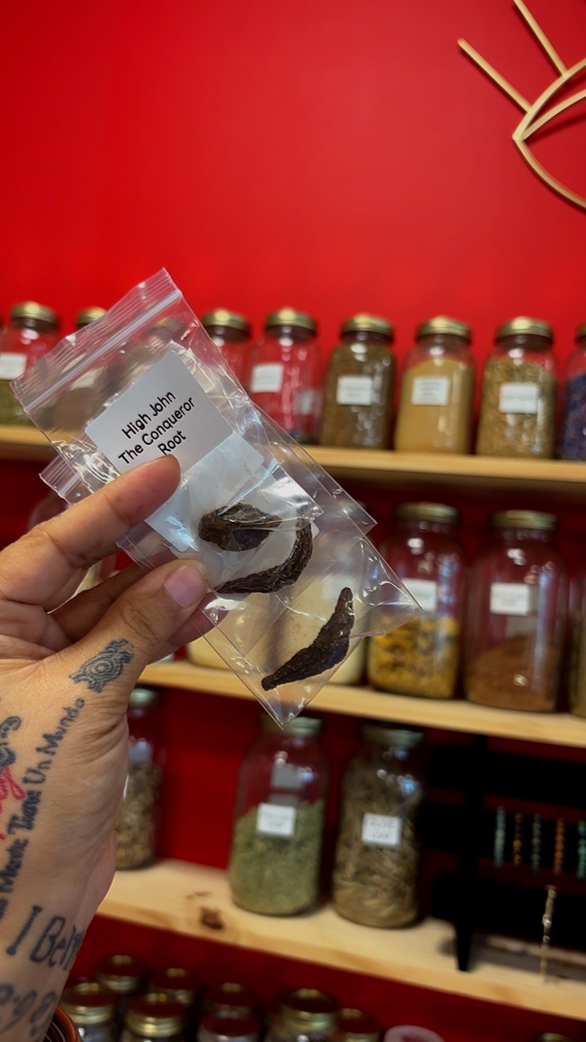 High John The Conqueror Root
